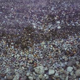 Detail of rocks and soil th...