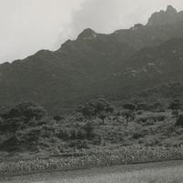 Fields and mountains