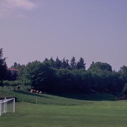 Soccer field.