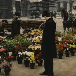 Flower Vender's Display...