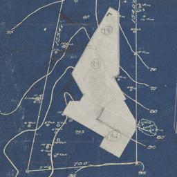 Topographical survey of pla...
