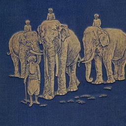 The Jungle Book