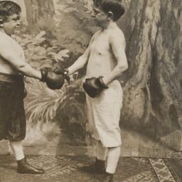 A pair of dwarf boxers