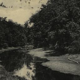 Scene in Bronx Park, N.Y. City