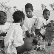 Tuareg nomad boys learn to ...