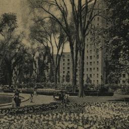 Parkchester - Tulip Time