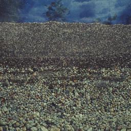 Detail of rocks and soil th...