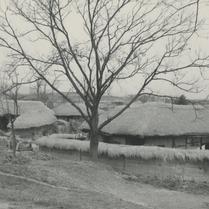 Thatched houses in the coun...
