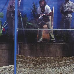 Workers pouring rocks, seen...