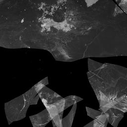 Photograph fragments, inclu...