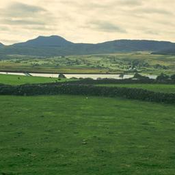 Fields with stone walls, la...