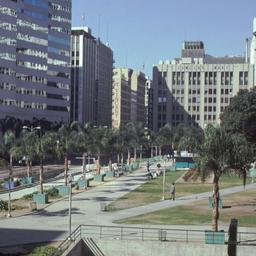 View of sidewalks in park.