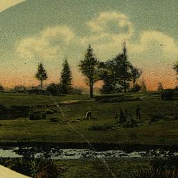 Plantation Bronx Park, New ...