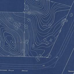 Plot plan topographical survey