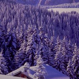 Snow-covered building with ...