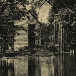 A Farm View Staten Island N...