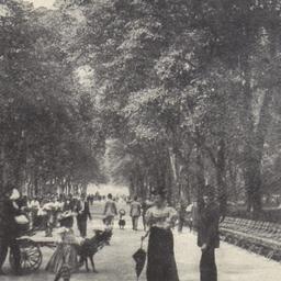 The Mall, Central Park, New...