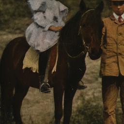 Riding Animals. Welch Pony....
