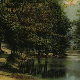 Bronx River, Bronx Park, N. Y.