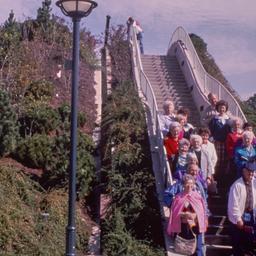 Visitors sitting on landsca...