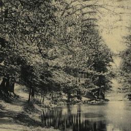 Bronx River, Bronx Park, N.Y.