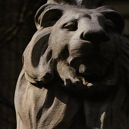 [Lion in front of the New Y...