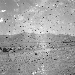 Livestock grazing on arid s...