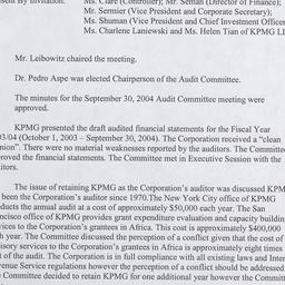 Audit Committee Meetings