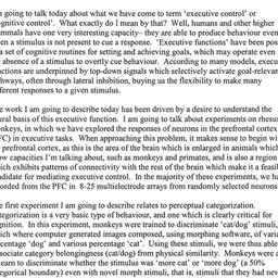 Minutes, 2003-12-11. Cognit...