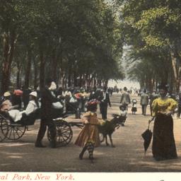 The Mall, Central Park, New...