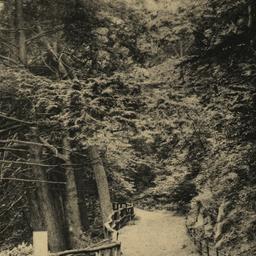 Entrance to Hernlock Grove....