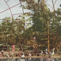 Interior of Flying Cage New...