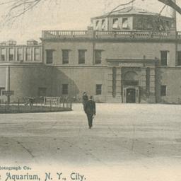 The Aquarium, N.Y. City.