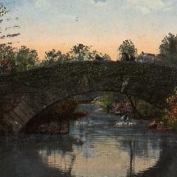 Vine Arch Bridge, Central P...
