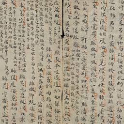 Chỉ nam bị yếu