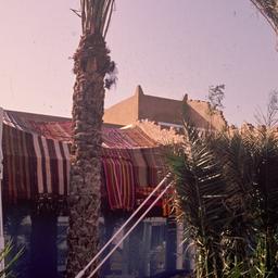 Palm trees in front of fabr...