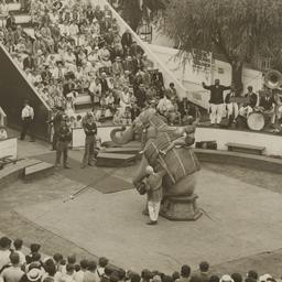 Dreamland: Circus performer...