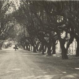 Page No. 067 - Frascati, Vi...