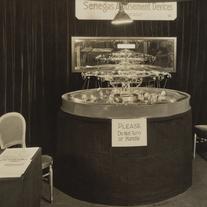 Models: Senegas Amusement D...