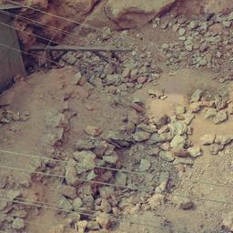 Landslide next to Tibet Mir...