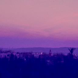 View over palm trees and bu...