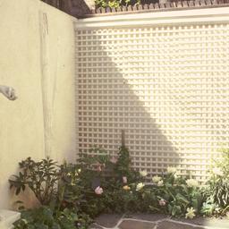 Exterior view, garden wall ...