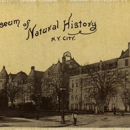 Museum of Natural History N...
