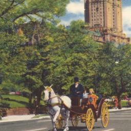 Central Park New York City
