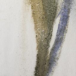 Sidereal Silence: Irish Stu...
