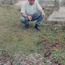 Unidentified man in graveya...