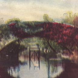 Vine Arch Bridge, Central P...