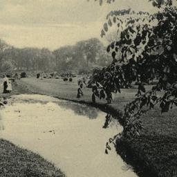 The Brook, Arboretum, Bronx...