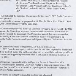 Audit Committee Meetings