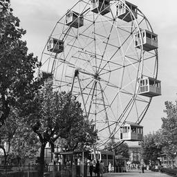 Photographic negatives of S...
